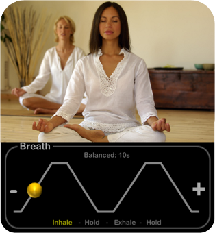 Heart Rate Plus Guided Breathing Sessions